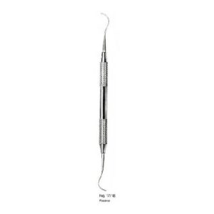 Anterior