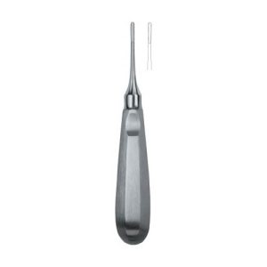 Apical 1
