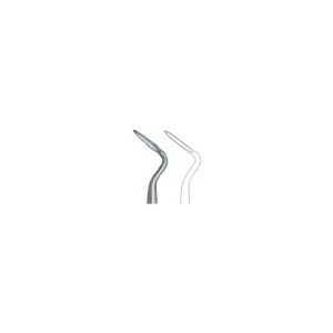 Apical-Flohr