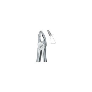 Incisors And Bicuspipds 35N