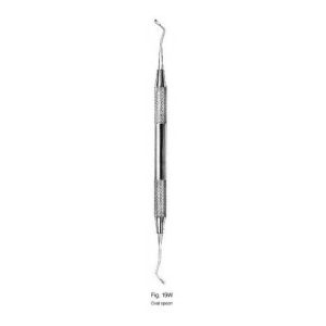 Oval Spoon 19W