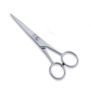 Economy Scissor